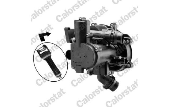 Thermostat, coolant
