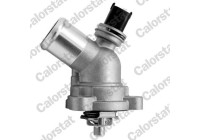 Thermostat, coolant