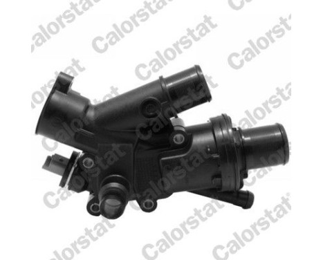 Thermostat, coolant