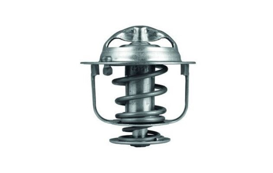 Thermostat, coolant, Image 2