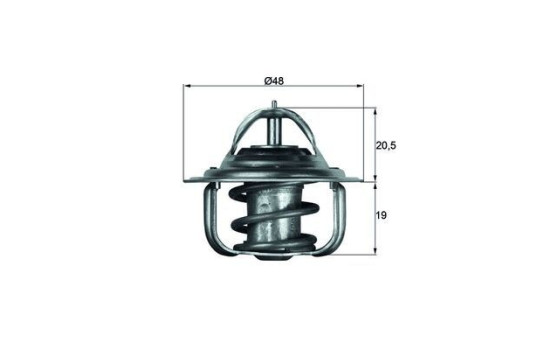 Thermostat, coolant