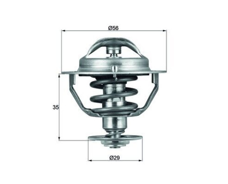 Thermostat, coolant