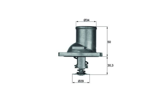 Thermostat, coolant