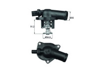 Thermostat, coolant