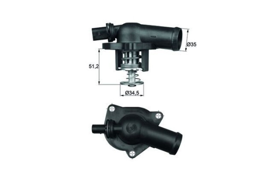 Thermostat, coolant
