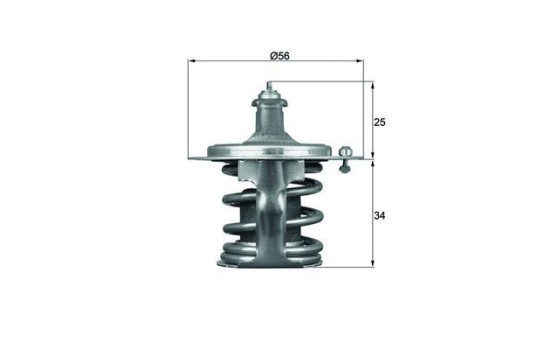 Thermostat, coolant