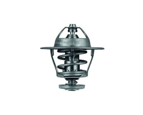 Thermostat, coolant, Image 2