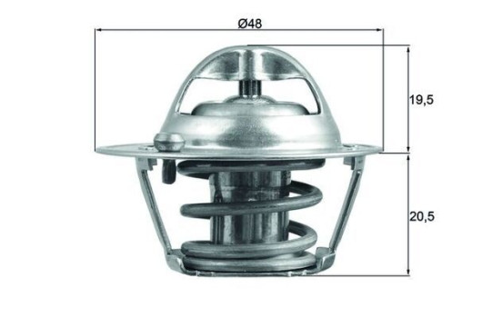Thermostat, coolant