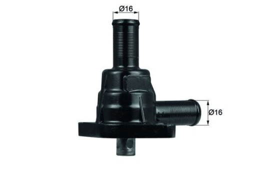Thermostat, coolant