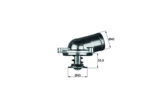 Thermostat, coolant