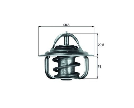 Thermostat, coolant