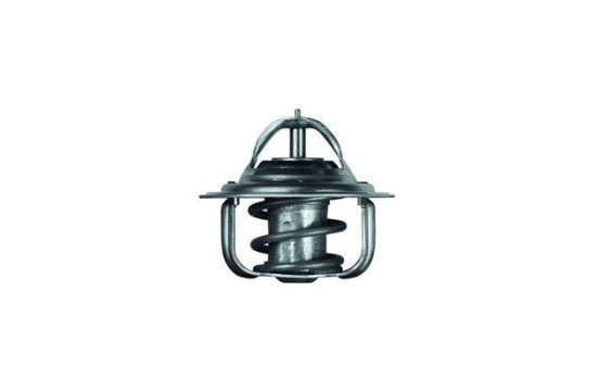 Thermostat, coolant, Image 2