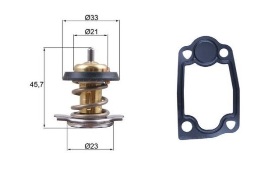 Thermostat, coolant