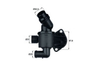 Thermostat, coolant