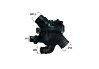 Thermostat, coolant