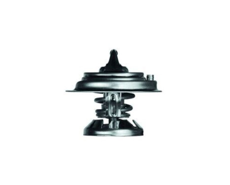 Thermostat, coolant, Image 2