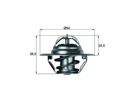 Thermostat, coolant