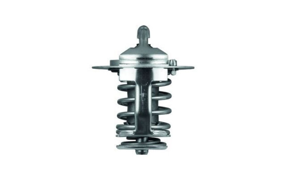 Thermostat, coolant, Image 2