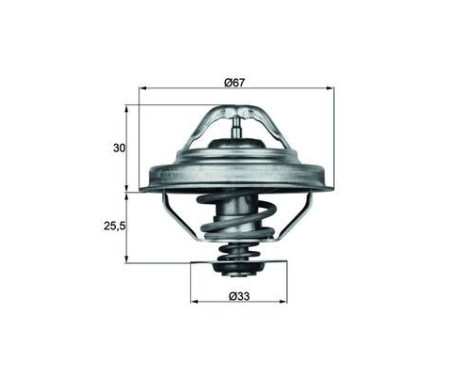 Thermostat, coolant