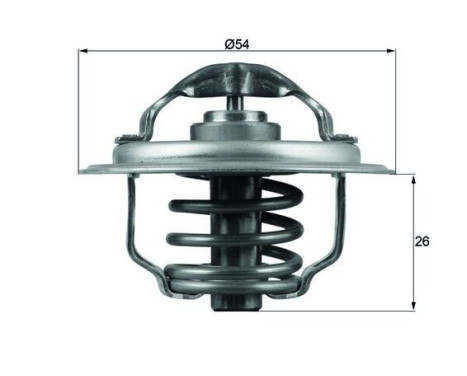 Thermostat, coolant