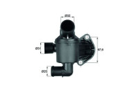 Thermostat, coolant
