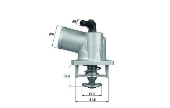 Thermostat, coolant