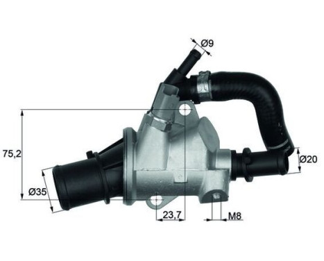 Thermostat, coolant