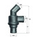 Thermostat, coolant