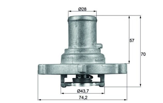 Thermostat, coolant