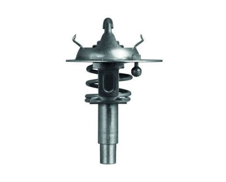 Thermostat, coolant, Image 2