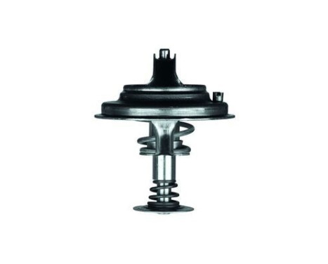 Thermostat, coolant, Image 2