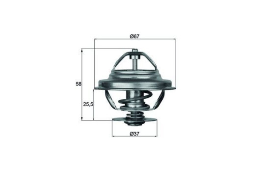Thermostat, coolant
