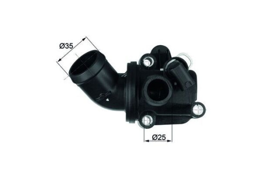 Thermostat, coolant