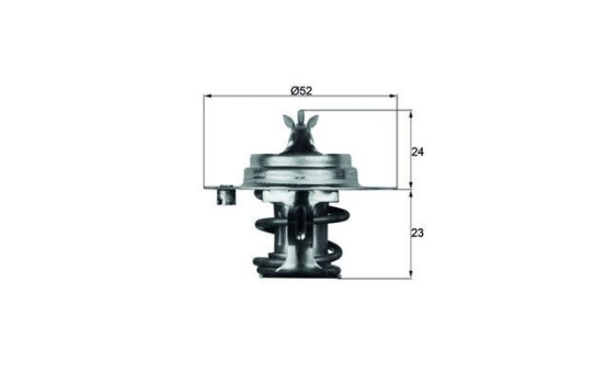 Thermostat, coolant