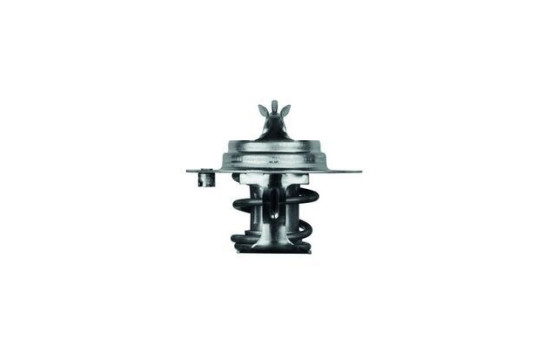Thermostat, coolant, Image 2