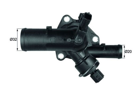 Thermostat, coolant