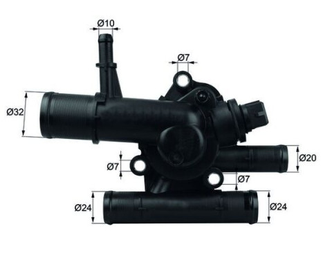 Thermostat, coolant