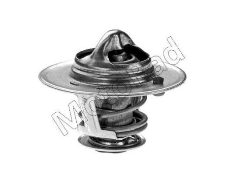 Thermostat, coolant