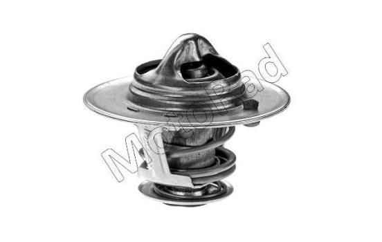 Thermostat, coolant