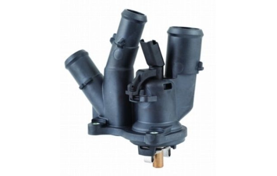Thermostat, coolant
