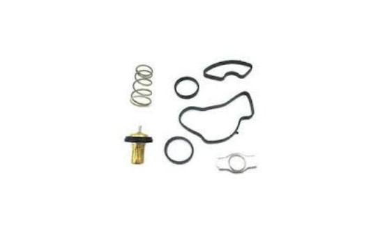 Thermostat, coolant