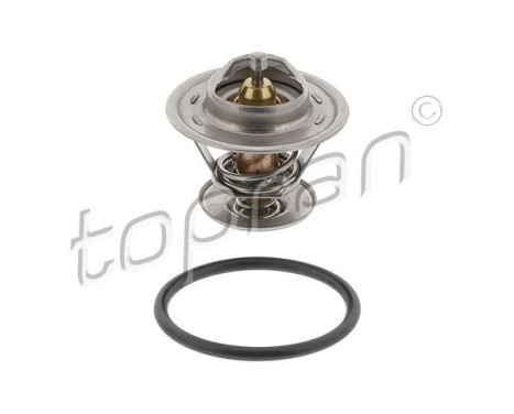 Thermostat, coolant