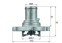 Thermostat, coolant