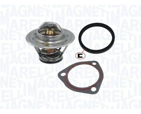 Thermostat, coolant