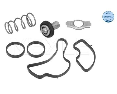Thermostat, coolant
