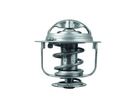 Thermostat, coolant, Image 2