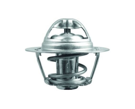 Thermostat, coolant, Image 2