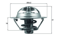 Thermostat, coolant