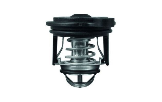 Thermostat, coolant, Image 2