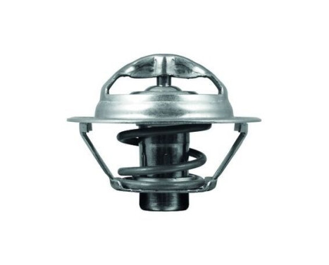 Thermostat, coolant, Image 2